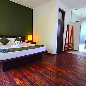 *** Hotel Lavinia Sri Lanka
